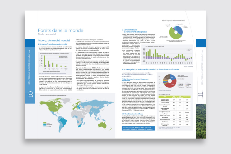 Rapport d'activité