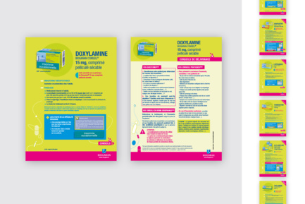 Guide (Classeur et fiches)