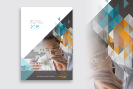 Rapport d'activité