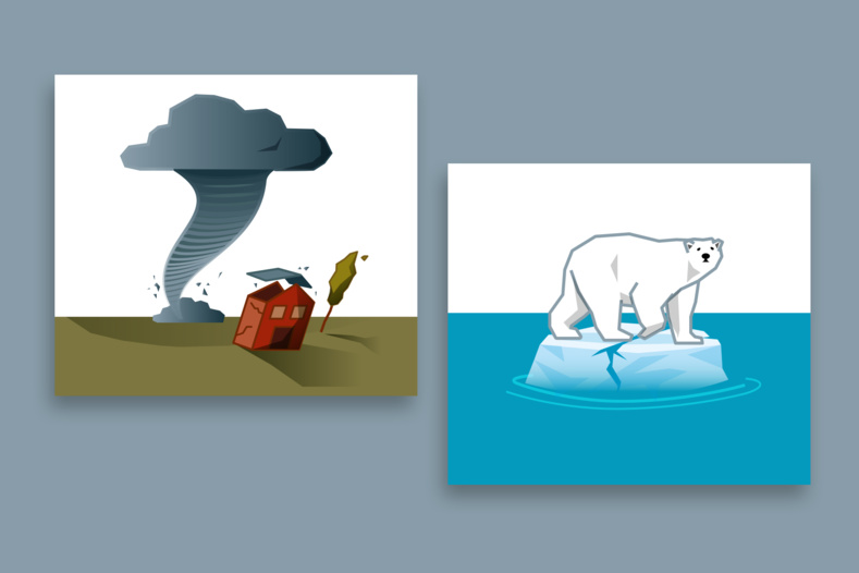 Infographie / Illustrations