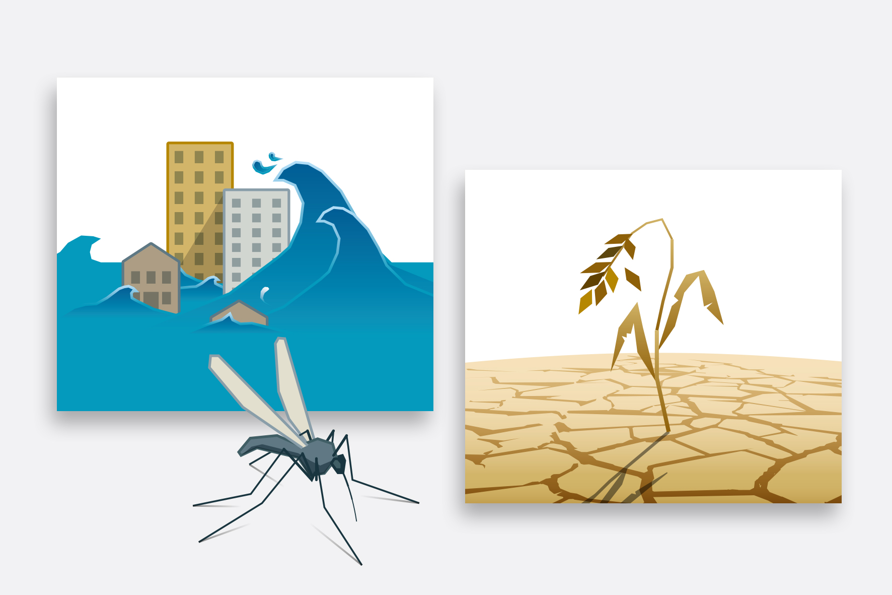 Infographie / Illustrations Infographie / Illustrations